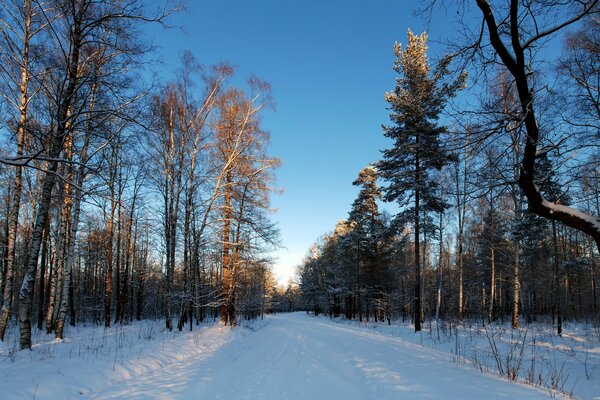 Invierno ruso. Aire helado