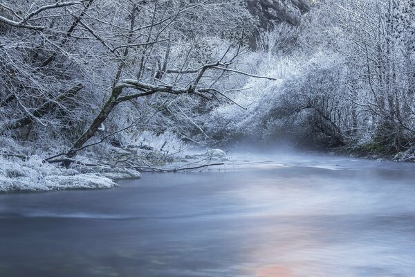 Fluss in einem mit Schnee bedeckten Wald