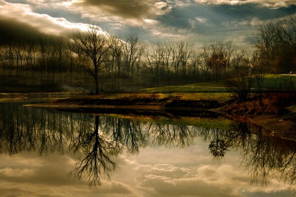 Ciel dans les nuages au-dessus du lac de la forêt