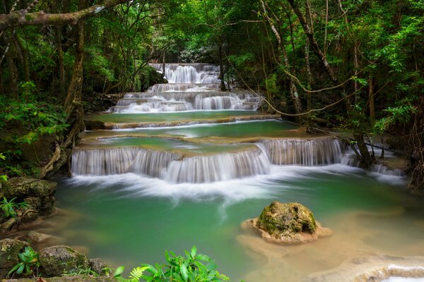 Cascada en cascada en la selva salvaje