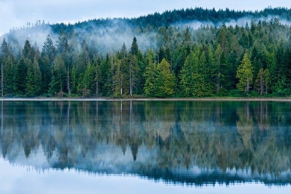 The mirror surface of the lake reflecting the Canadian forest