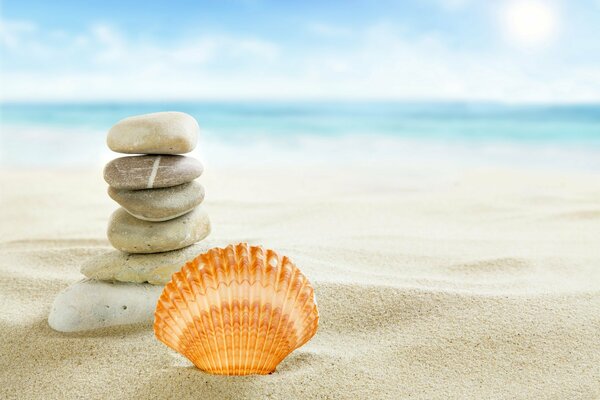 The landscape of the sea beach with a shell and stones