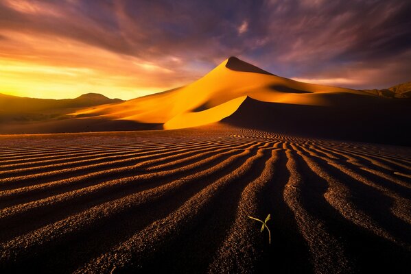 Dunas de arena bajo las nubes