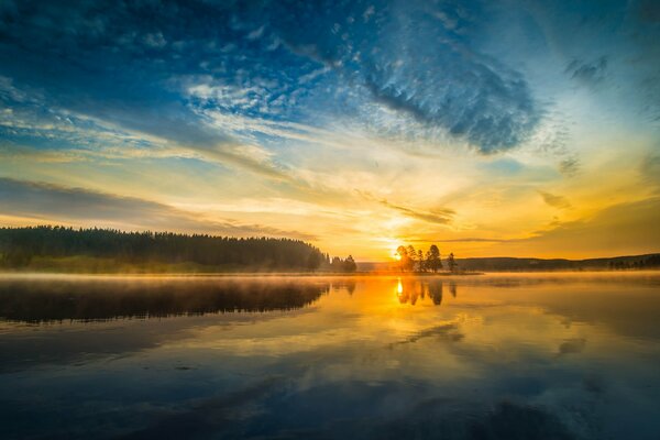 Der See und der Wald des Yellowstone Nationalparks