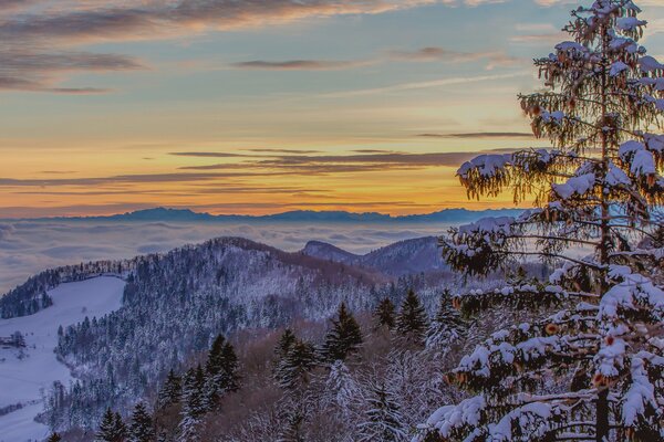 Matin brumeux et montagnes enneigées