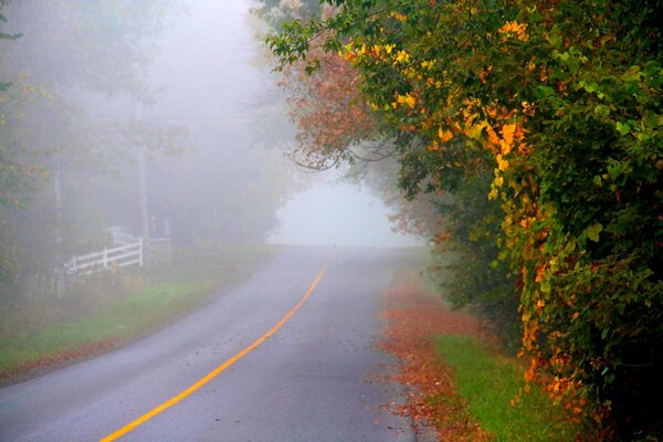 Autumn road going into the distance