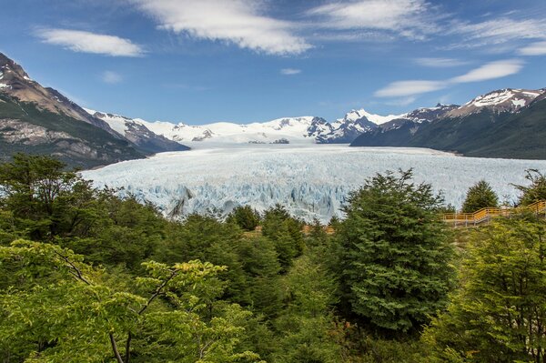 A mountain glacier is advancing on green trees