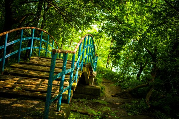 Puente viejo contra el bosque