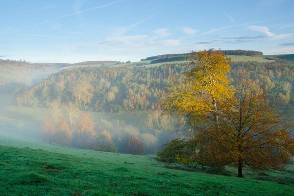 Otoño. el bosque y las montañas están en la niebla