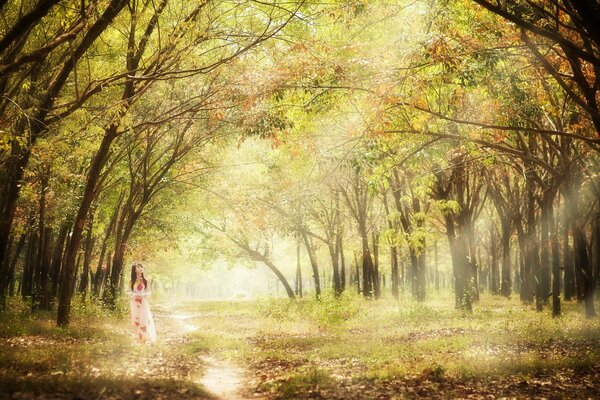 Fille au soleil dans la forêt d automne