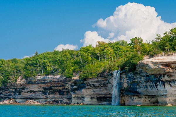 Ein Wasserfall mit einem dichten Wald