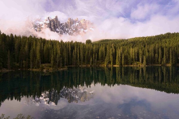 Foresta di conifere ai piedi della montagna sulla riva del Lago