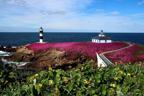 Landscape of pink and yellow flowers, lighthouse