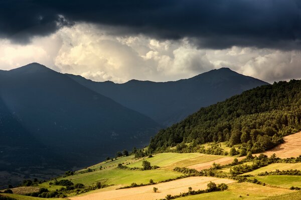 Vallée de montagne avec forêt et gros nuages