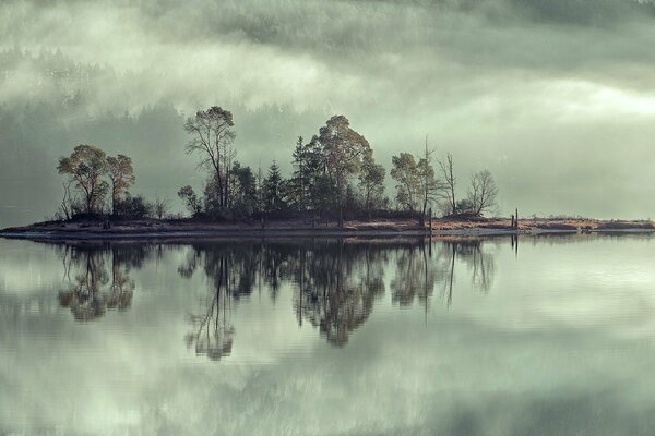 The trees and the island are reflected in the water