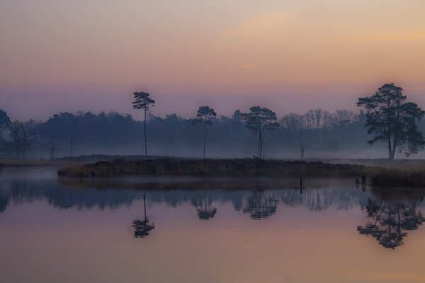 Sunrise. Foggy morning on the lowland marshes