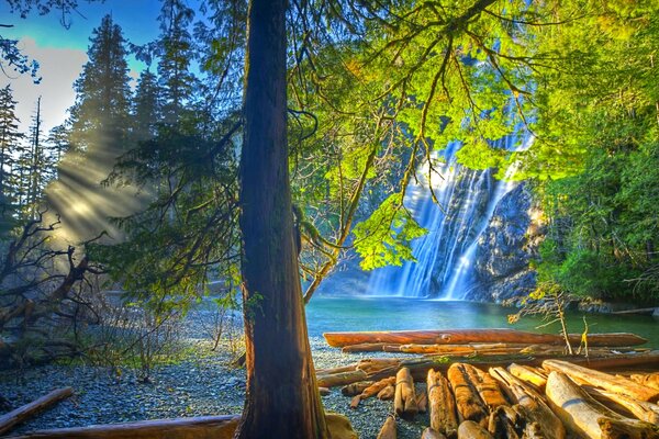 Logs floating on the river with a waterfall under the rays of the sun