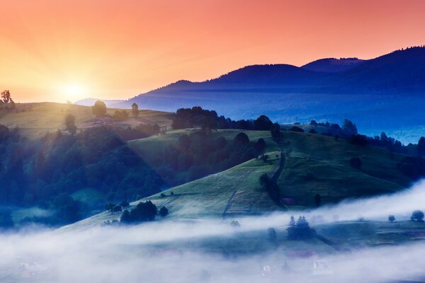 Brouillard à l aube sur la colline