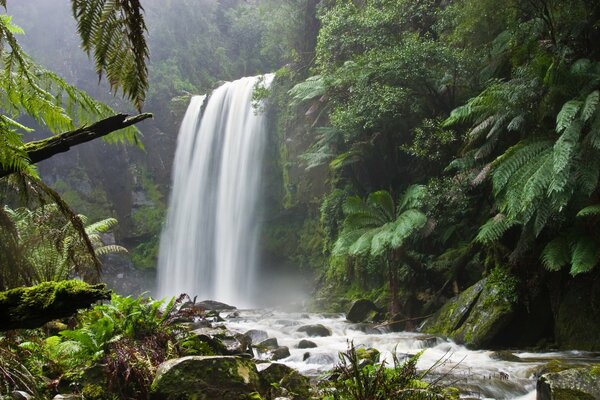 Bergfluss und Wasserfall. Wanderung