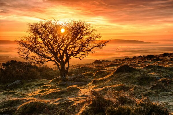 Autumn sunset on the mountainside