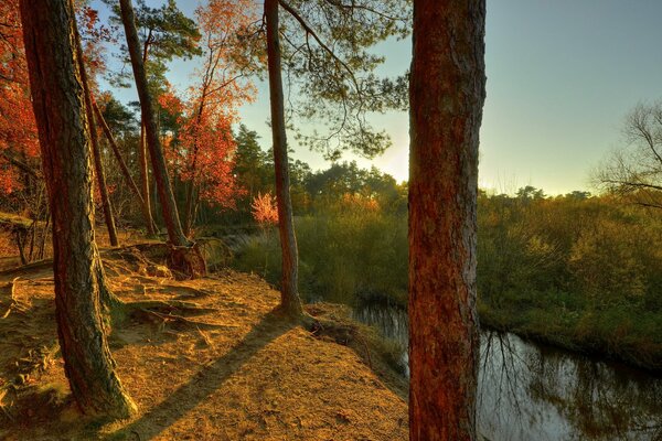 Herbst Sonnenuntergang an einer Klippe im Wald