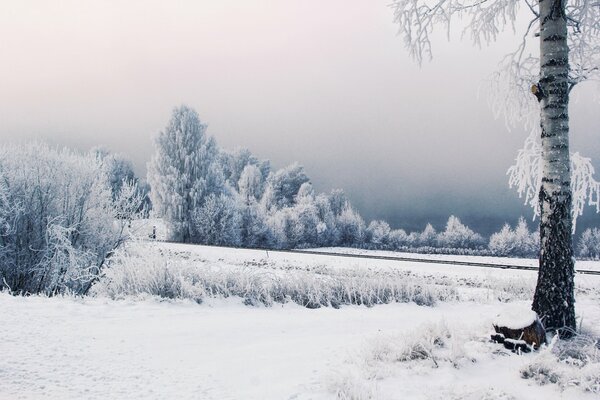 Imagen del paisaje invernal con el ferrocarril