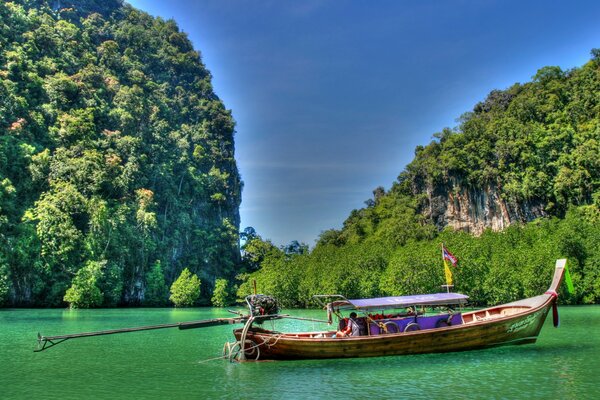 Bateau parmi les arbres en Thaïlande