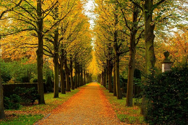 Le parc d automne attire les gens pour une promenade