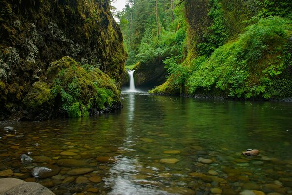 Una pequeña cascada en un terreno rocoso de montaña