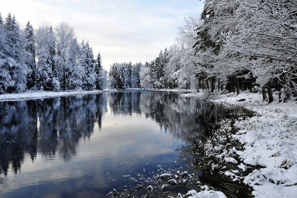 Río en el bosque de invierno con nieve