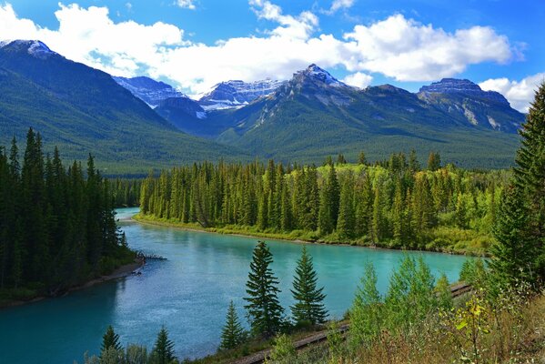 The sky is blue and there is a blue river in the forest