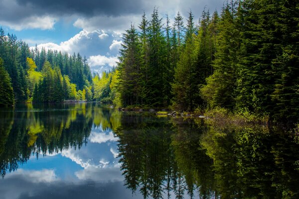 Lago primaverile con riflessione della foresta