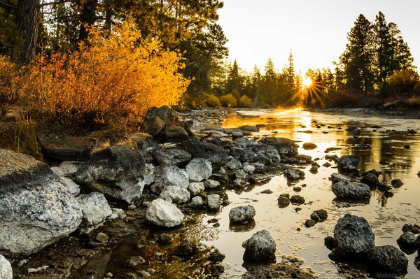 River and autumn forest at dawn