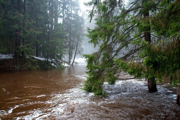 Frühling und Fluss bedeuten Verschütten