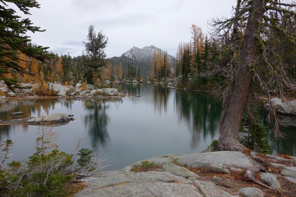 Reflet des arbres et des montagnes dans le lac