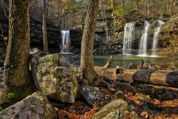 Beautiful waterfall in the forest among the rocks