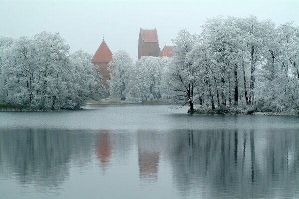 Winter nature by icy water