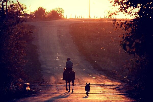 Immagine di un cavaliere con un cane sul sentiero