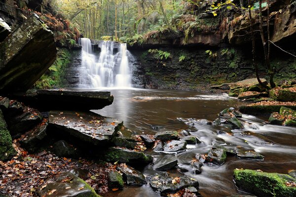 Waterfall in the mountain forest