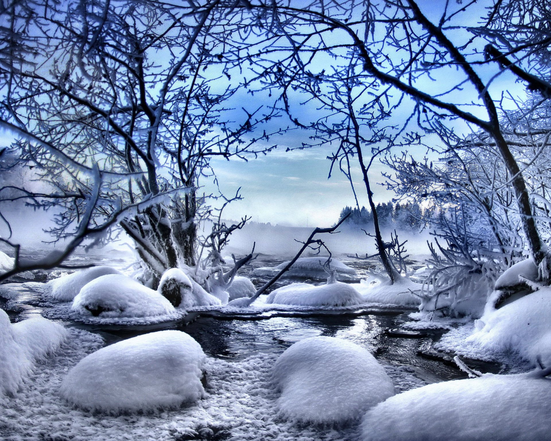 invierno naturaleza nieve árbol invierno árboles