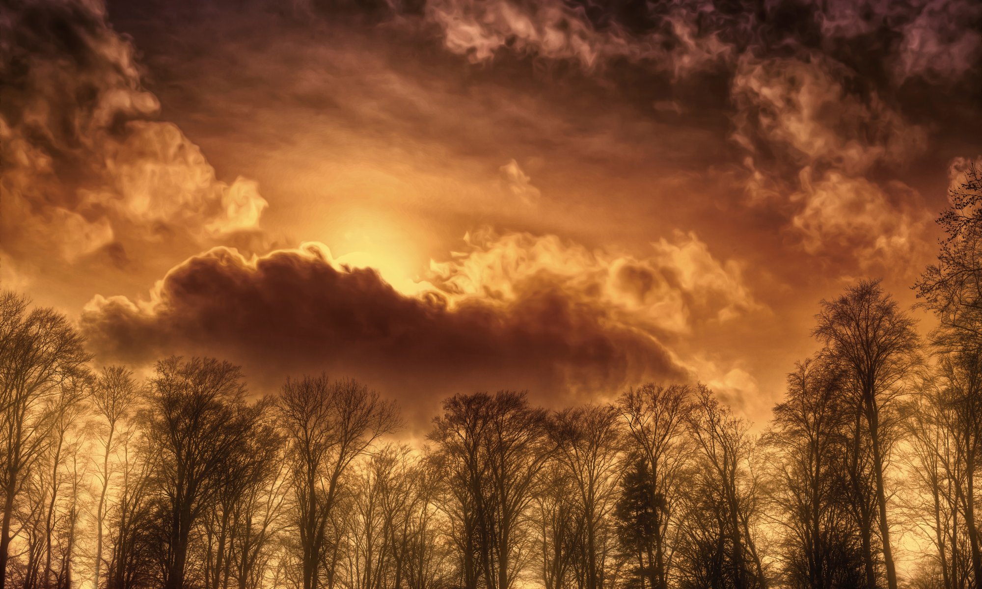 rêver ciel arbres traitement