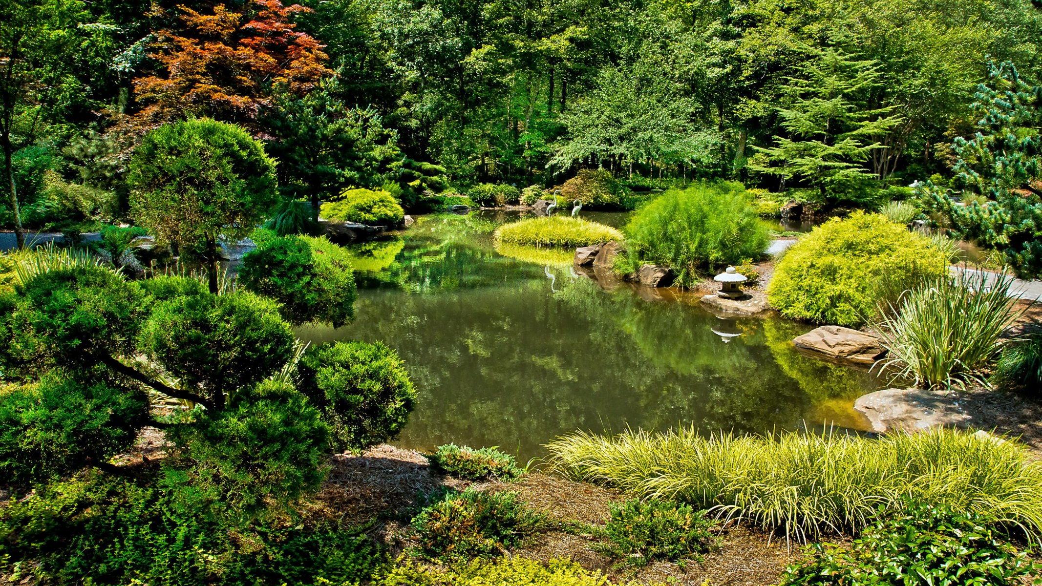 stati uniti d america giardino stagno gibbs giardini palla prima cespugli natura foto