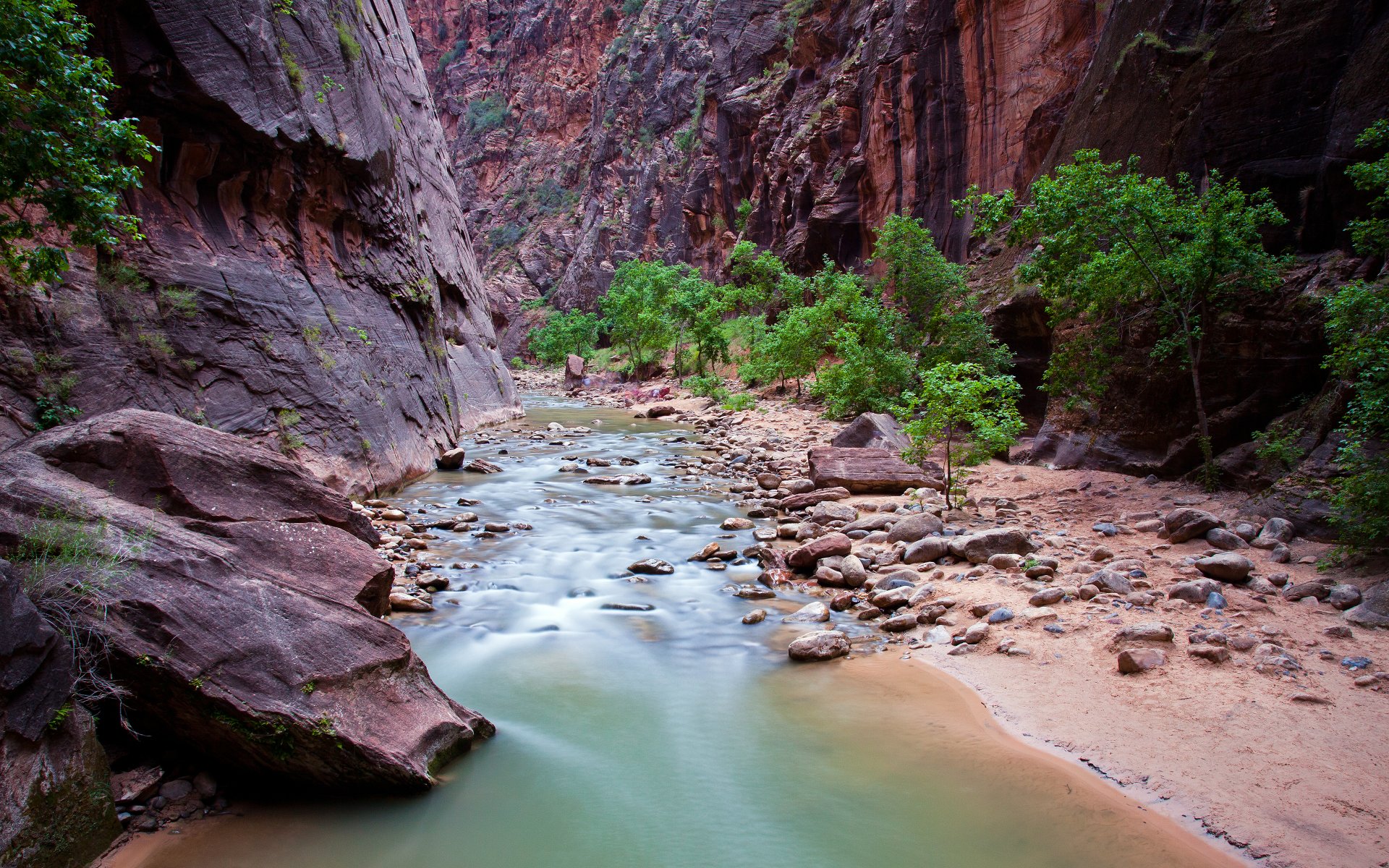 parco nazionale di zion utah fiume gola rocce pietre parco nazionale di zion stati uniti