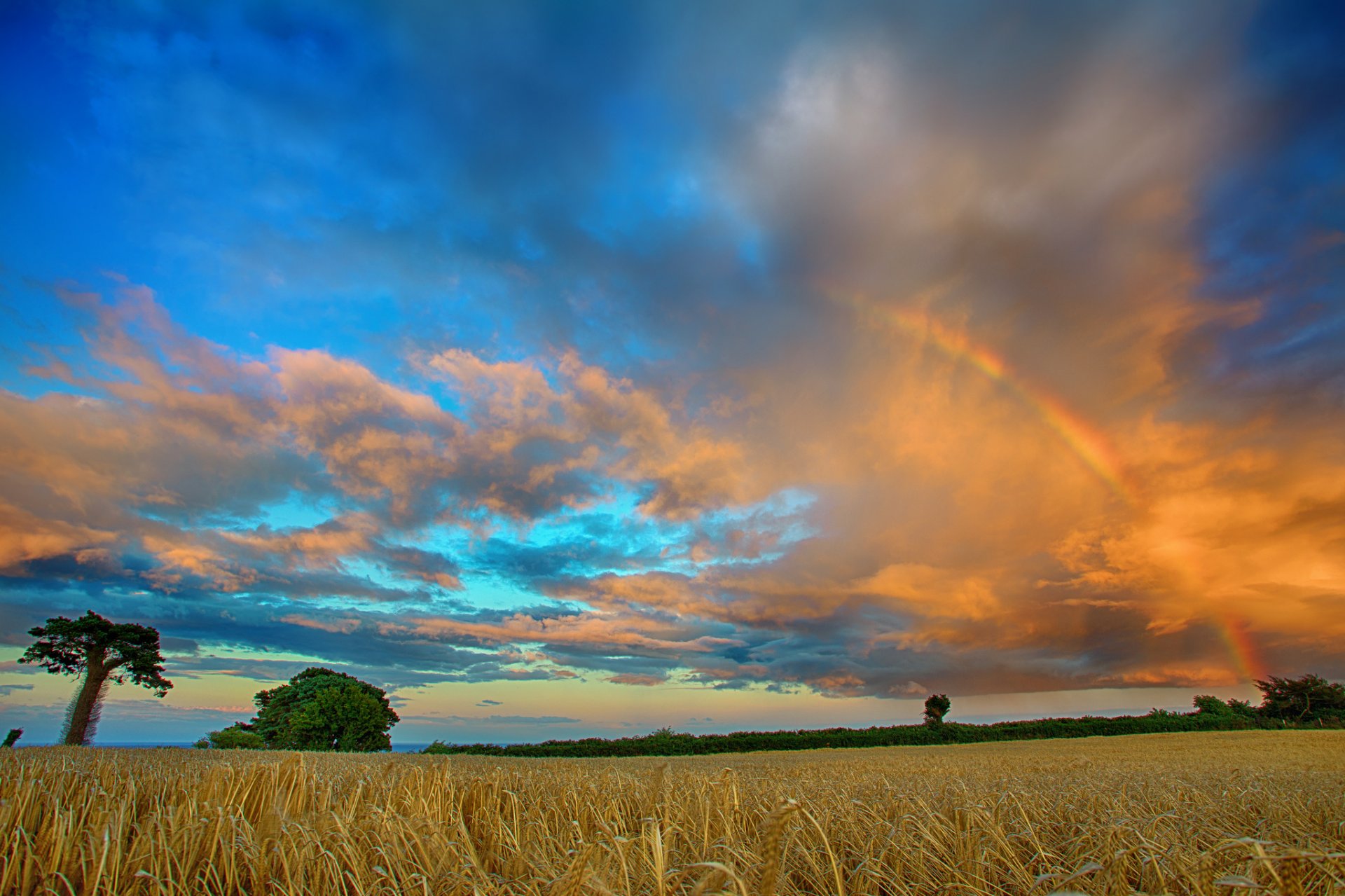 feld bäume wolken regenbogen