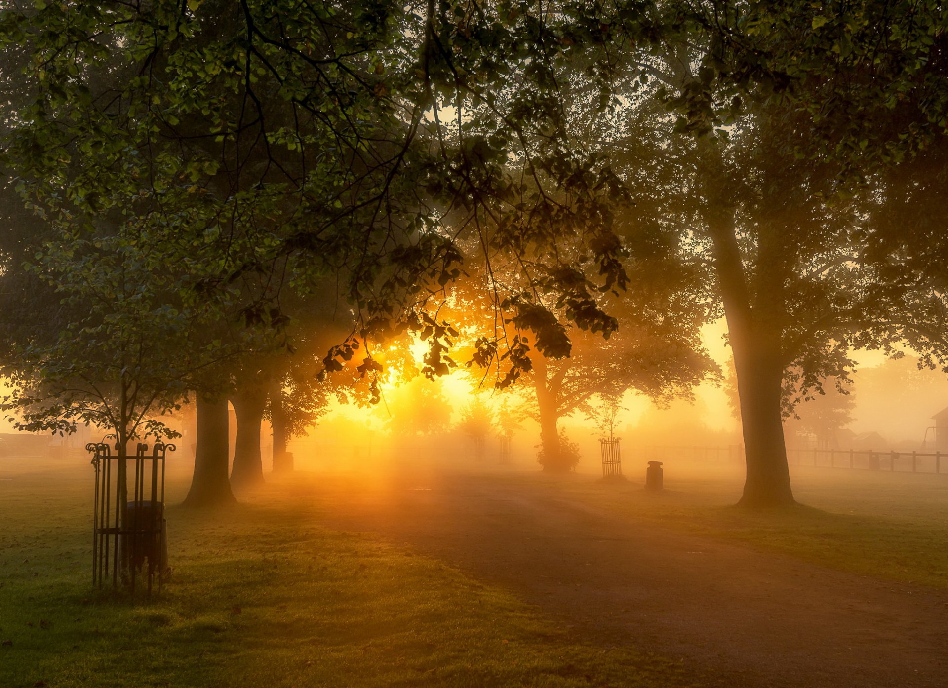 morgen park natur licht