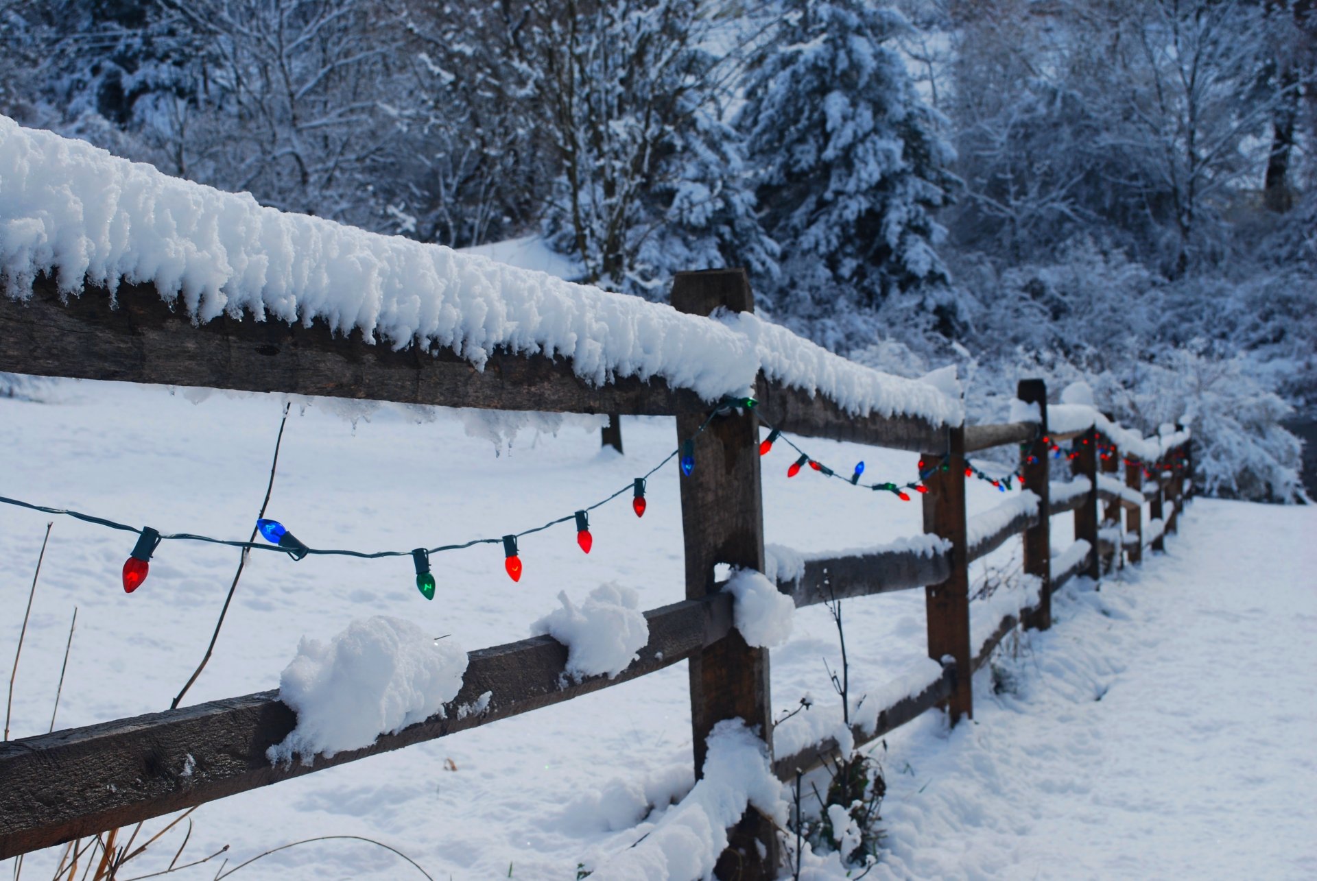 inverno buon natale felice anno nuovo neve natura recinzione lanterne vacanze inverno luce vacanza natale nuovo anno