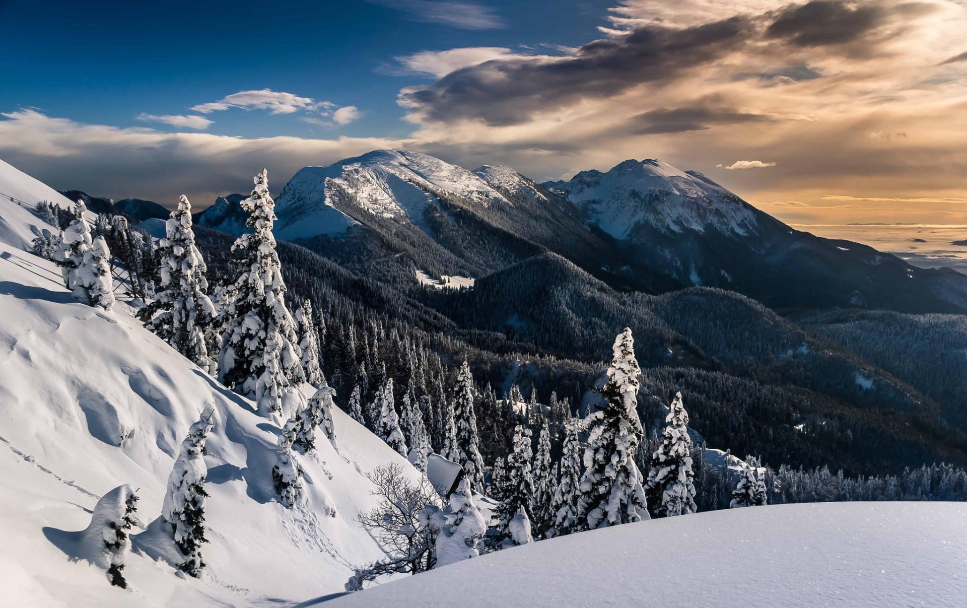 горы зима снег леревья природа пейзаж