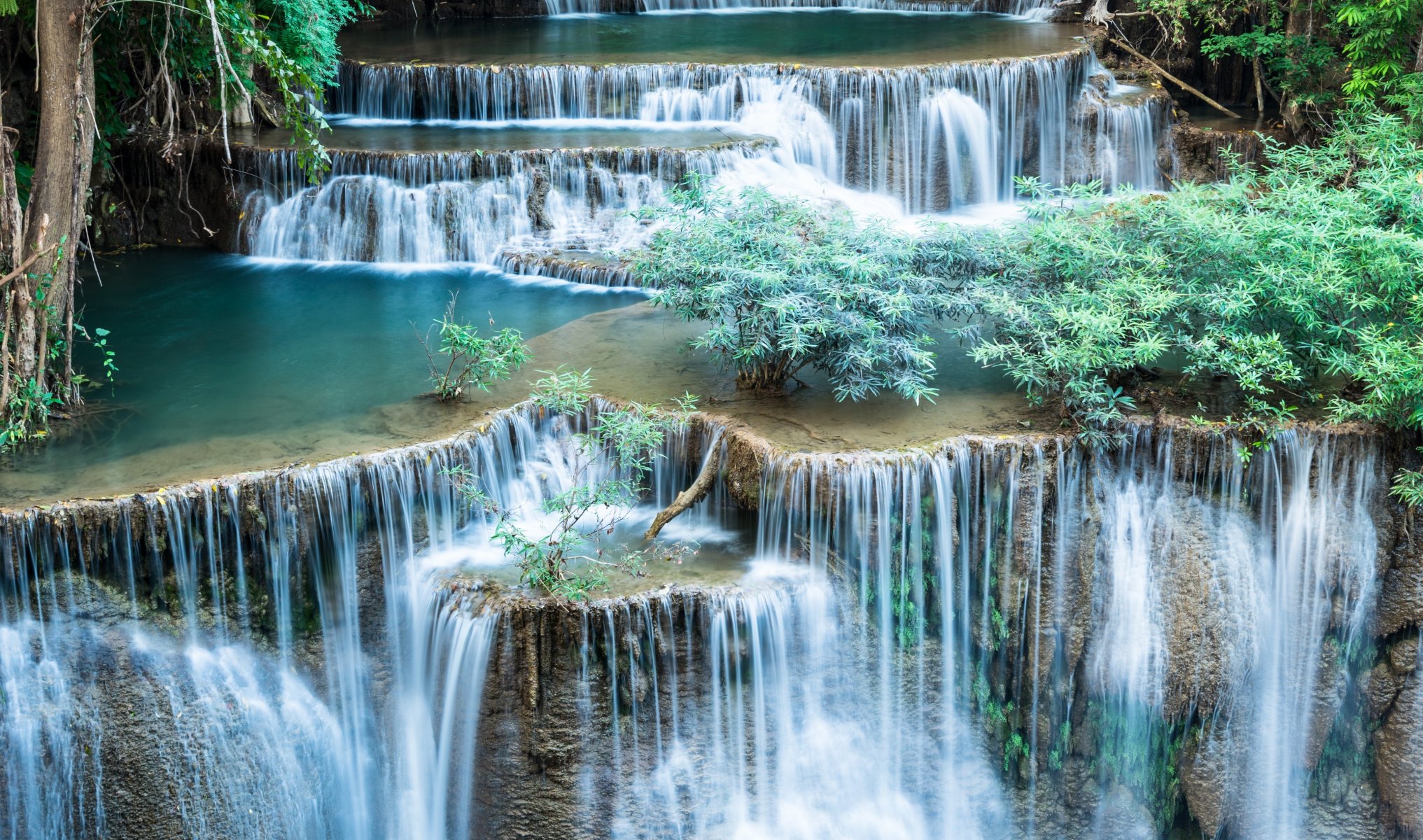 fluss wasserfälle büsche grüns