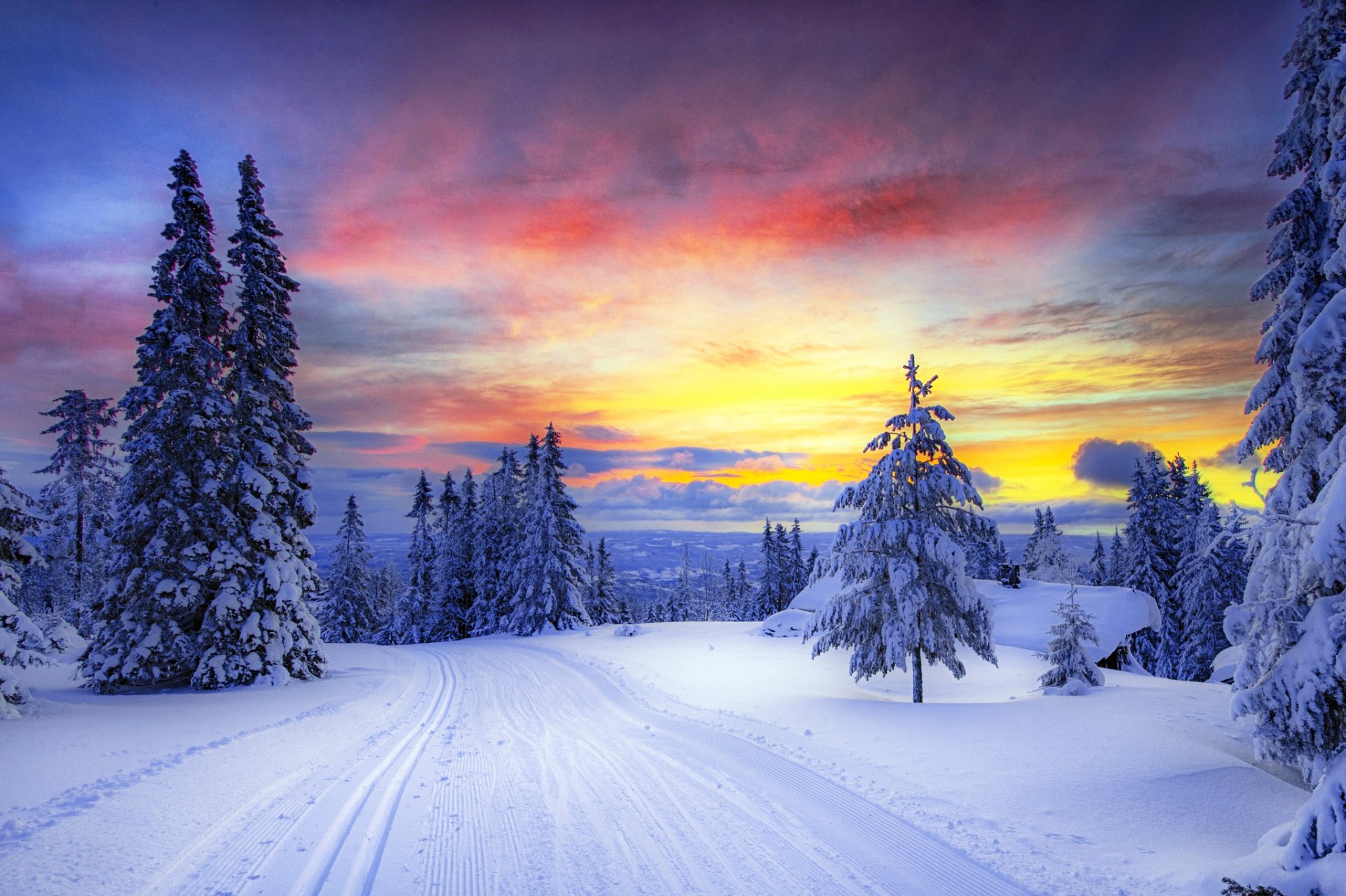 norway winter snow tree christmas tree forest road traces sunset sky clouds mountain nature