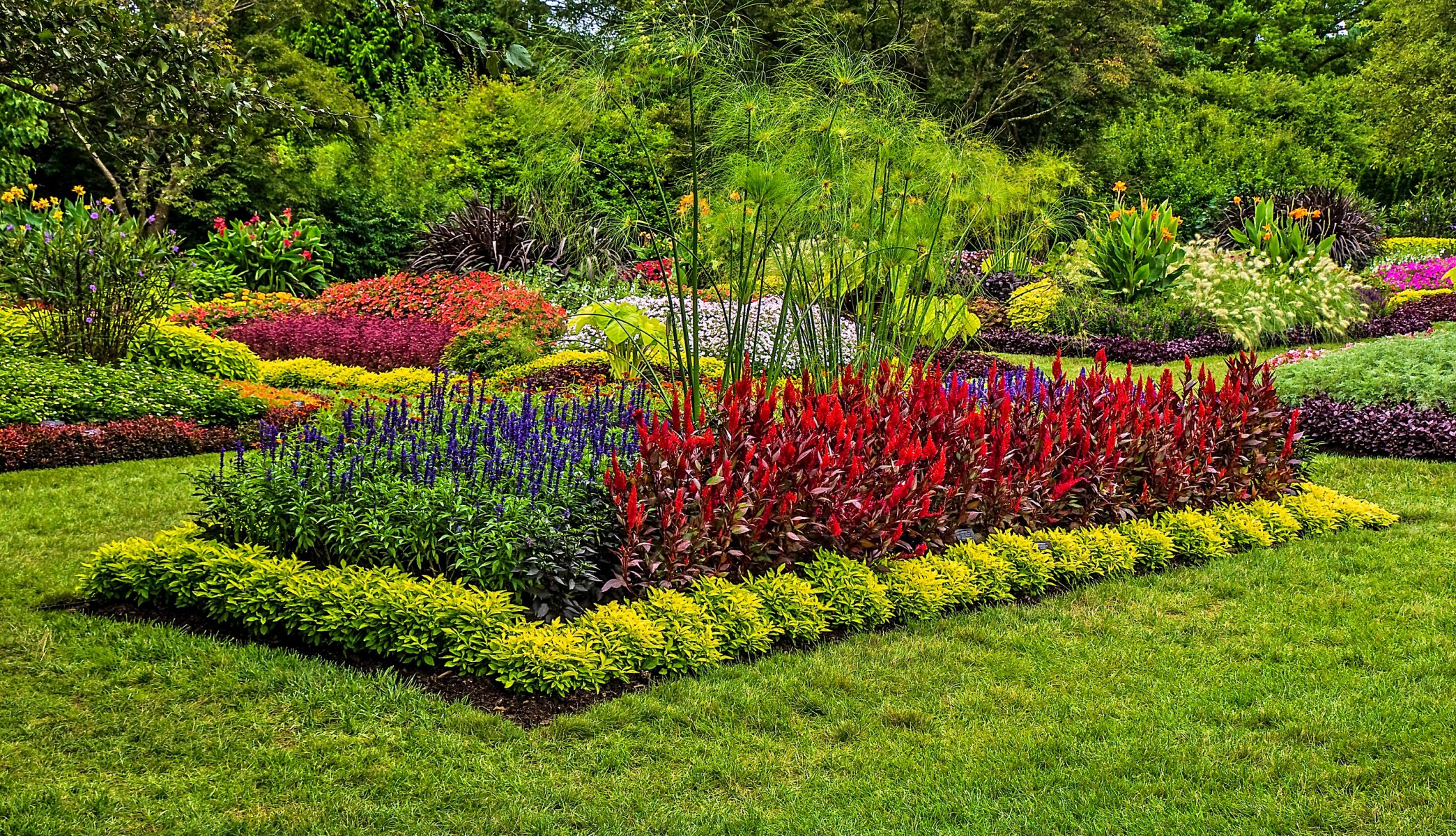 états-unis parc kenneth square pelouse herbe buissons nature photo